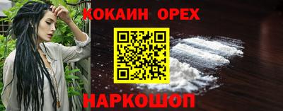 крисы Кингисепп