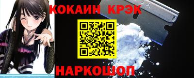 крисы Кингисепп