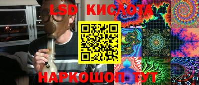 крисы Кингисепп