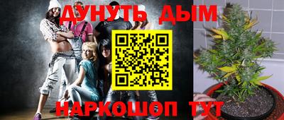 каннабис Камышлов