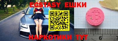 крисы Кингисепп