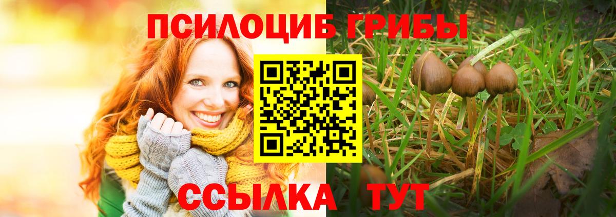 Галлюциногенные грибы ЛСД Кириши